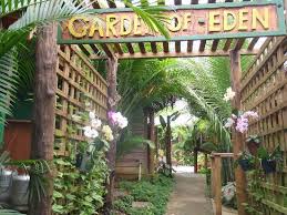 Panama Garden Resort image #7