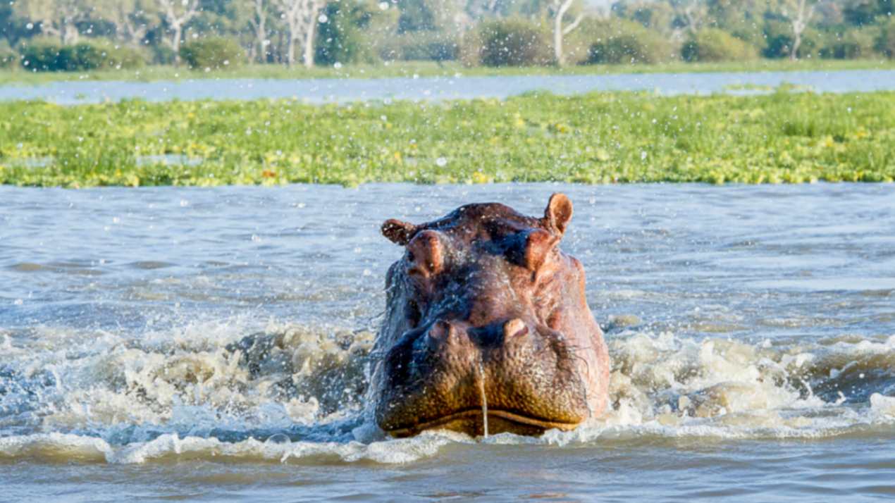 Roho Ya Selous image #9