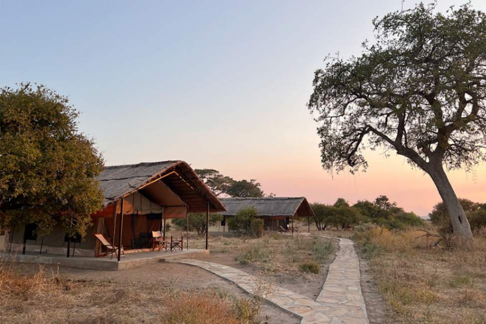 Ruaha Flycather Camp image #13