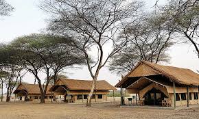 Ruaha Flycather Camp image #1