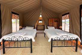 Ruaha Flycather Camp image #16