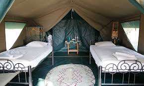 Ruaha Flycather Camp image #18