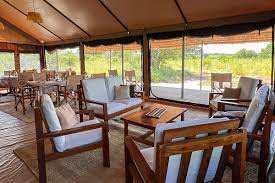 Ruaha Flycather Camp image #19