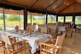 Ruaha Flycather Camp image #11