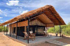 Ruaha Flycather Camp image #12