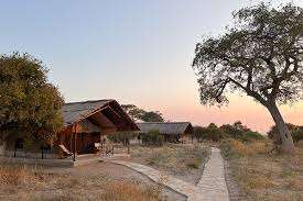 Ruaha Flycather Camp image #17