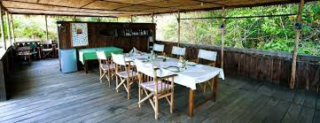 Ruaha Flycather Camp image #2