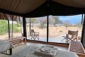 Ruaha Flycather Camp image #9