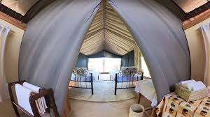 Ruaha Flycather Camp image #20