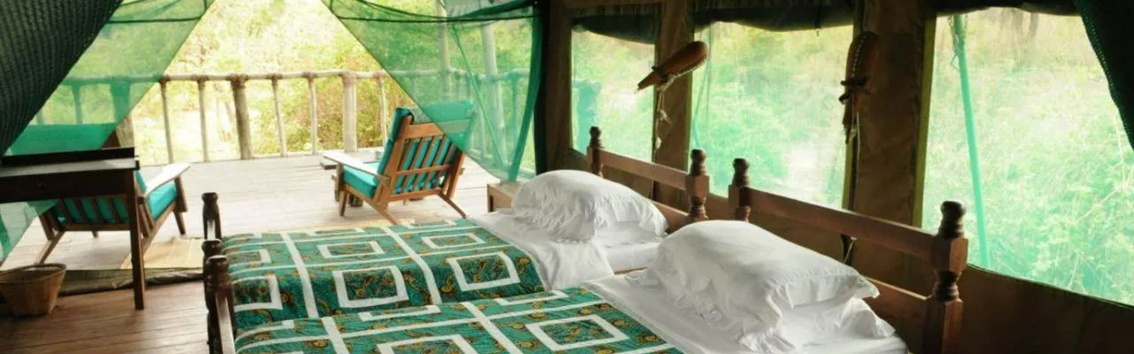 Ruaha National Park Lodges