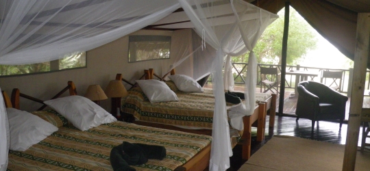 Rufiji River Camp image #1