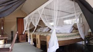 Rufiji River Camp image #3