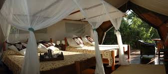 Rufiji River Camp image #2