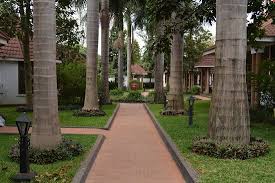 Sal Salinero Hotel image #5