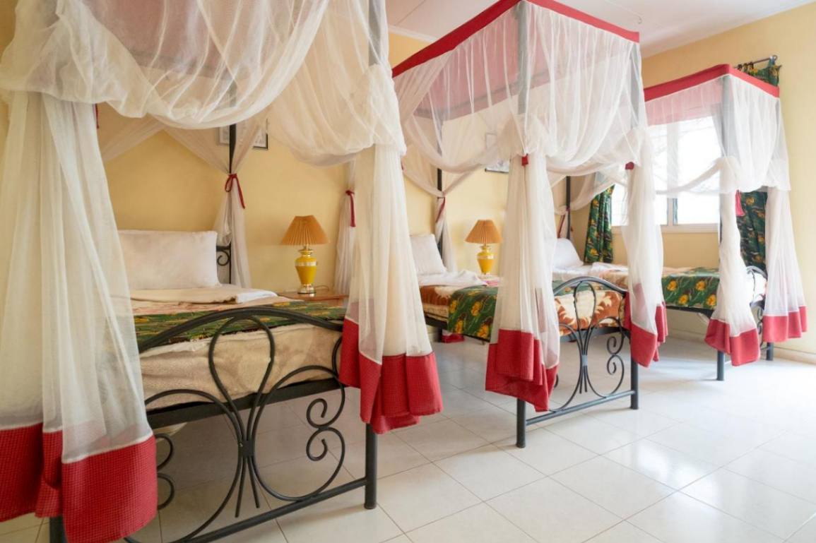 Springland Hotel image #3