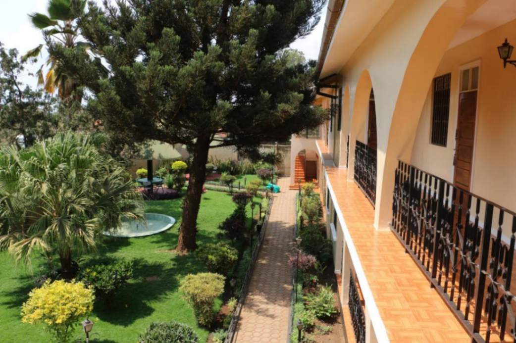 Springland Hotel image #12