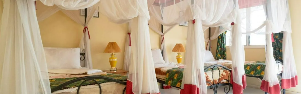Springland Hotel