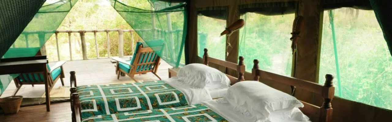 Ruaha National Park Lodges, Hotels and Camps