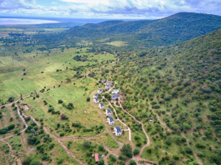 Tarangire Luxury Hideaway photo 1