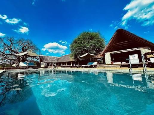 Tarangire Ndovu Tented Lodge photo 4
