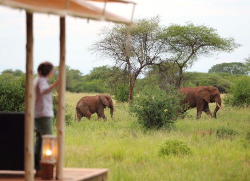 Tarangire Ndovu Tented Lodge