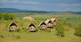 Kicheche Mara Camp image #4
